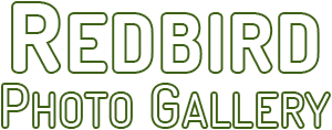 Redbird Photo Gallery, Logo